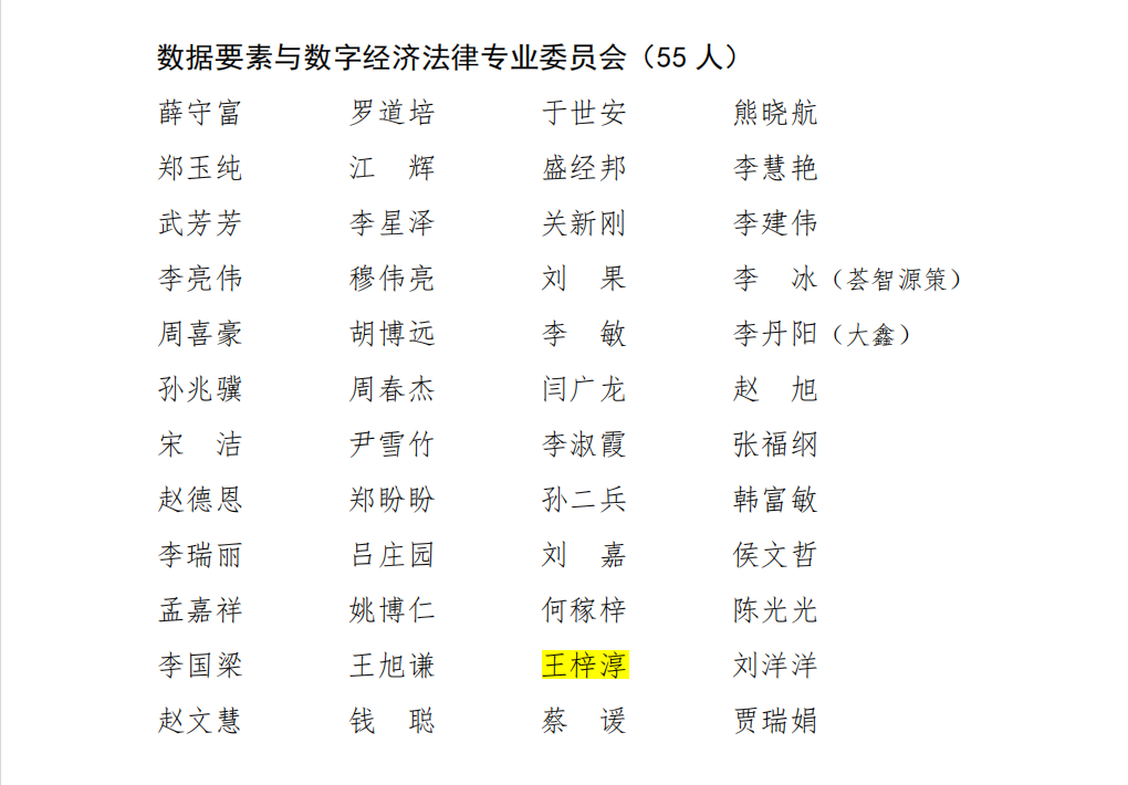 王梓淳.png